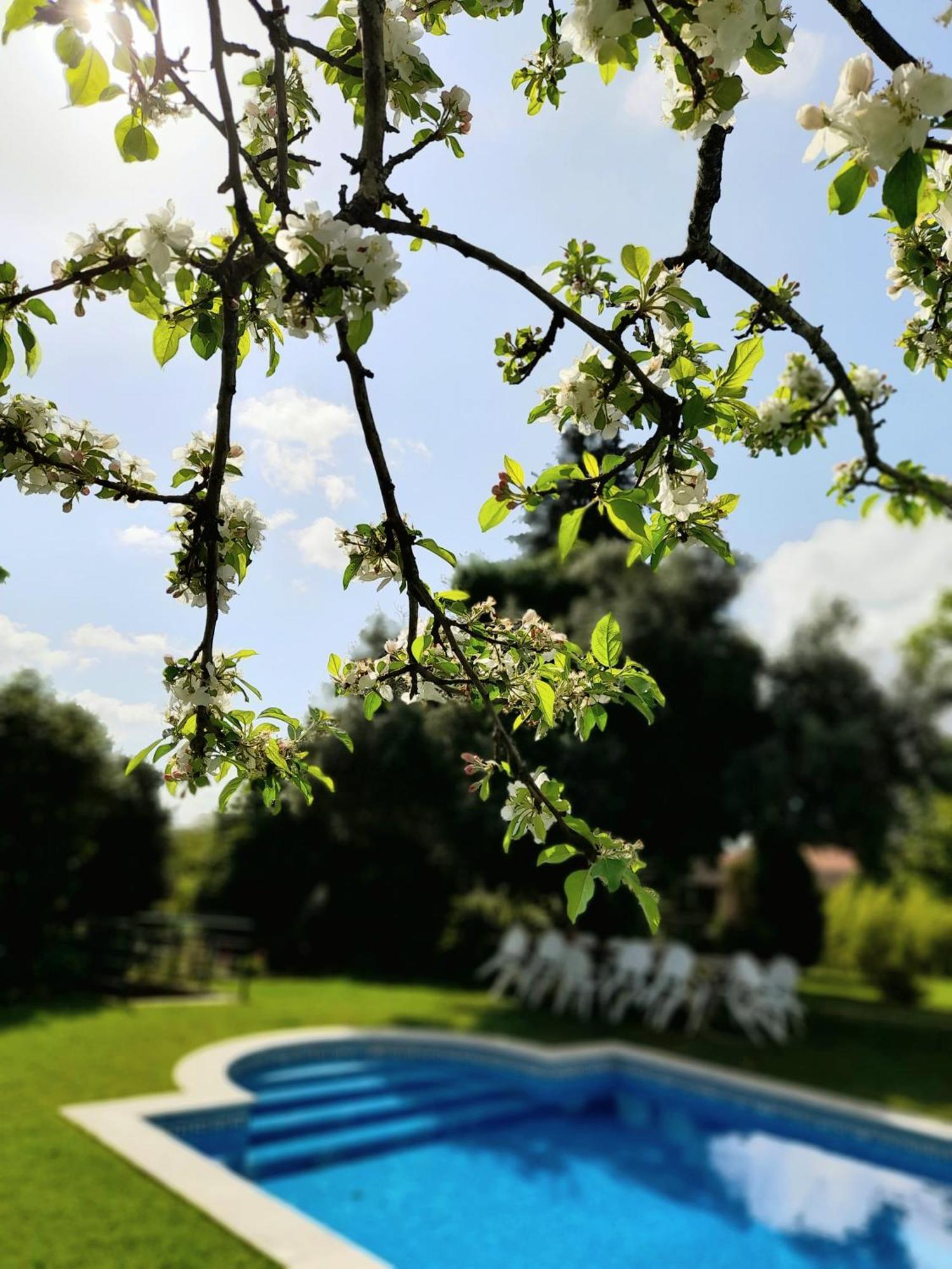 Casa de Férias Quinta Da Maínha Solar Local Com Piscina Privada Em Braga