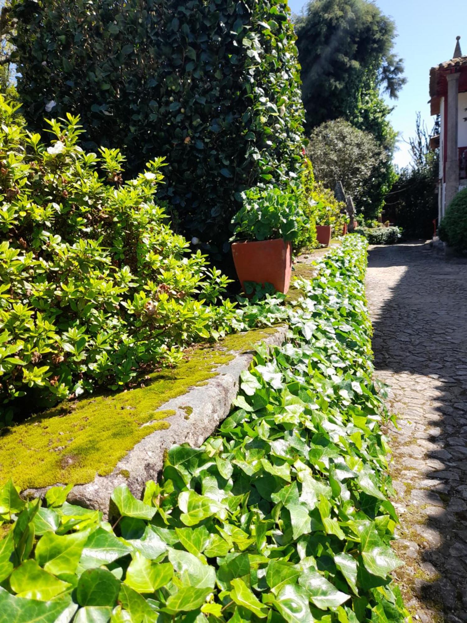 Casa de Férias Quinta Da Maínha Solar Local Com Piscina Privada Em