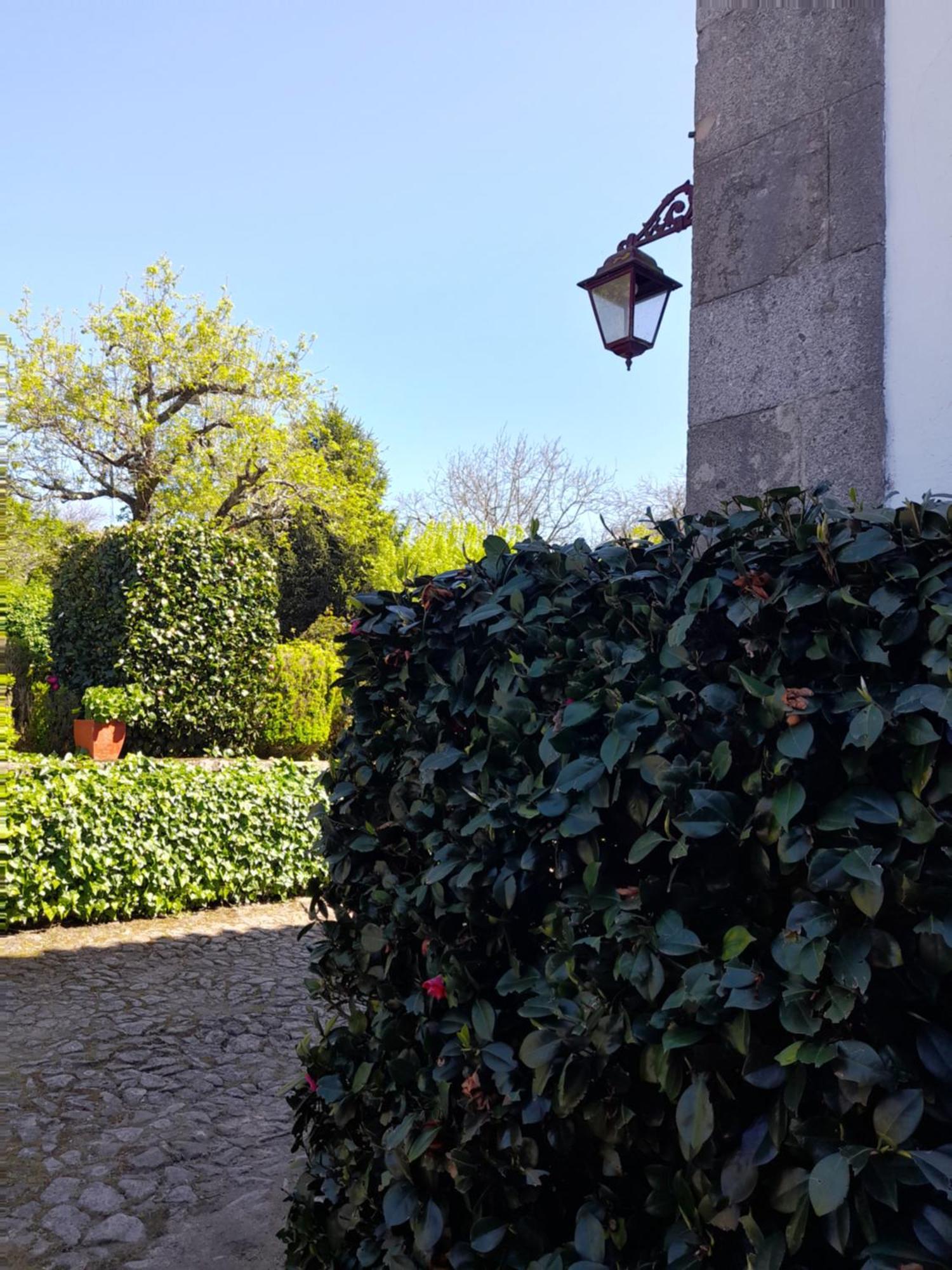 Quinta Da Maínha Solar Local Com Piscina Privada Em * Braga