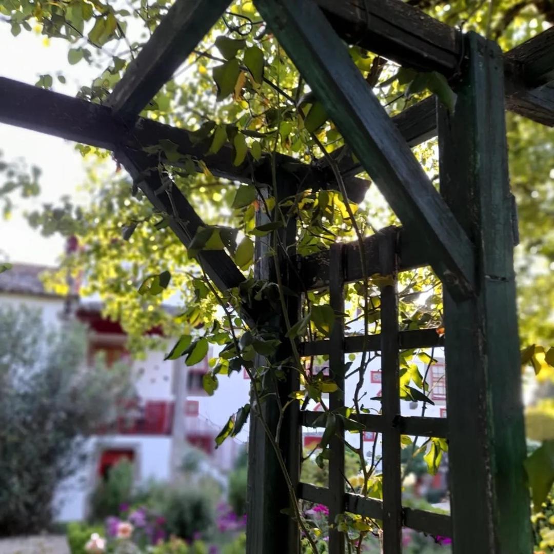 Quinta Da Maínha Solar Local Com Piscina Privada Em Casa de Férias *